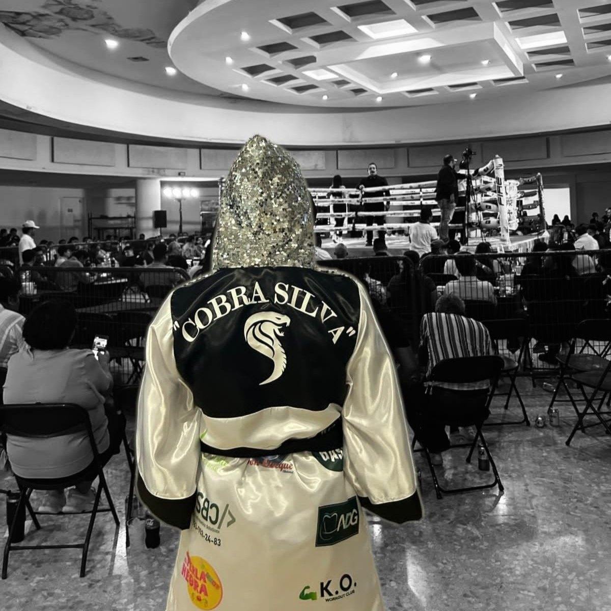 Vicente La Cobra Silva